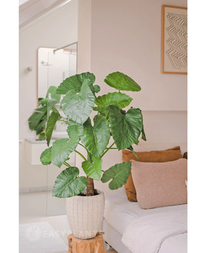 Kunstplant Alocasia 120 cm