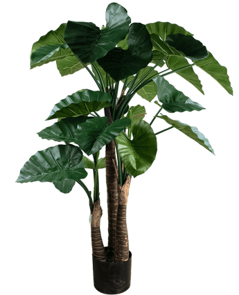 Kunstplant Alocasia 150 cm