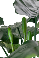 Kunstplant Alocasia 180 cm