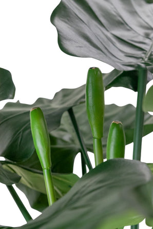 Kunstplant Alocasia 180 cm