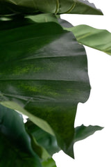 Kunstplant Alocasia 180 cm