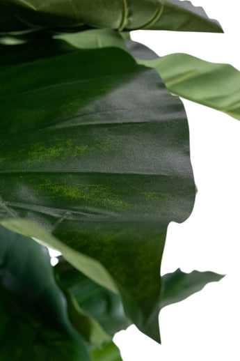Kunstplant Alocasia 180 cm