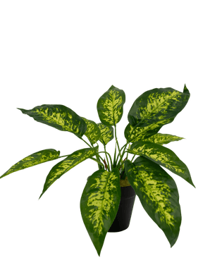 Kunstplant Anthurium 25 cm