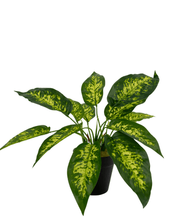 Kunstplant Anthurium 25 cm