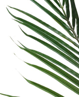 Kunstplant Areca 180 cm
