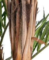 Kunstplant Areca 180 cm