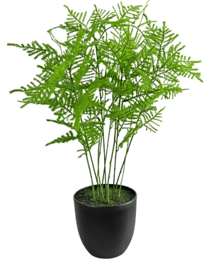 Kunstplant Asparagus 59 cm