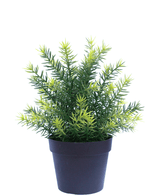 Kunstplant Asparagus in pot 23 cm UV