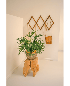 Kunstplant Baby Palm Fan in pot 50 cm