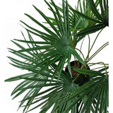 Bovenaanzicht van de Kunstplant Baby Palm Fan in pot UV 50 cm, met weelderig groene, waaiervormige bladeren die stralen vanuit stijlvolle sierpotten tegen een witte achtergrond.