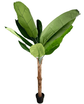 Kunstplant Bananenboom 180 cm