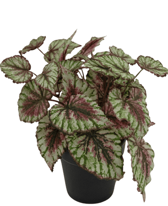 Kunstplant Begonia in pot 35cm