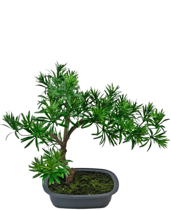 Kunstplant Bonsai Podocarpus 40 cm