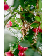 Kunstplant Bougainvillea Liana Fuchsia 115 cm