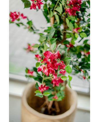 Kunstplant Bougainvillea Liana Fuchsia 115 cm