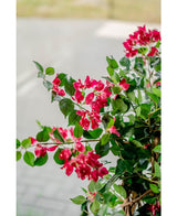 Kunstplant Bougainvillea Liana Fuchsia 115 cm