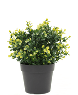 Kunstplant Buxus geel in pot 19 cm UV