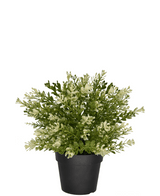 Kunstplant Buxus in pot 23 cm UV