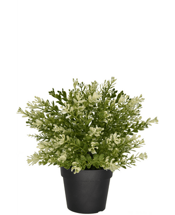 Kunstplant Buxus in pot 23 cm UV