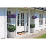 Een wit huis met dubbele glazen deuren, twee Kunstplant Buxus op stam romeinse stijl UV 85cm aan weerszijden van de ingang en twee hanging baskets met paarse bloemen boven elke struik. Voor de deuren ligt een deurmat.