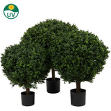 De Kunstplant Buxus op stam romeinse stijl UV 85cm heeft drie kunstmatige buxusbomen in zwarte potten met dicht, rond groen gebladerte, tegen een witte achtergrond met een UV-beschermingssymbool in de linkerbovenhoek.