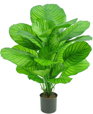 Kunstplant Calathea 72 cm