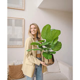 Een glimlachende vrouw in een beige blazer en spijkerbroek staat in een moderne woonkamer en houdt de Kunstplant Calathea Fasciata UV 53 cm in pot vast. Achter haar staan een beige bank met kussens en abstracte muurkunst.