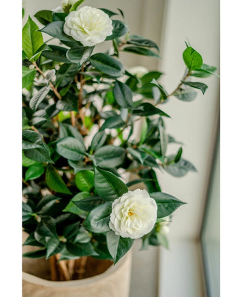 Kunstplant Camellia japonica 100 cm