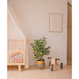 Een gezellige kinderkamer met een houten wieg, de Kunstplant Citroenboom 90 cm (een citroenboom in pot met bladeren), een kleine houten driewieler met het label MIA en minimalistische muurkunst. Een lichte houten vloer en zachte tinten creëren een rustige sfeer.