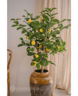 Kunstplant Citroenboom 90 cm