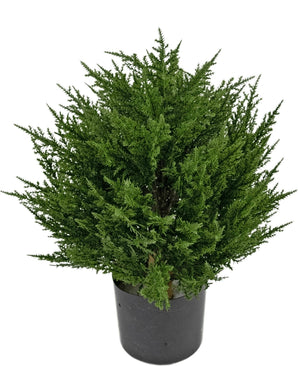 Kunstplant ConifeerUV 40 cm
