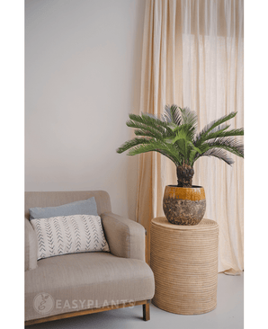 Kunstplant Cycaspalm 80 cm