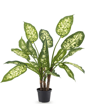 Kunstplant Dieffenbachia 60 cm