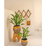 Een Kunstplant Dieffenbachia 40 cm voegt fris groen toe aan een minimalistische, lichte kamer. Afgebeeld in een rustieke pot op een krukje, met muurhaken vlakbij voor een tas en een witte gieter.