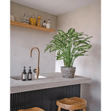 Een moderne keuken met een betonnen aanrechtblad, twee houten krukjes en een Kunstplant Dieffenbachia 75 cm bij de messing kraan, plus zeepdispensers en een houten plank met potten tegen een lichtgrijze muur.