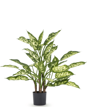 Kunstplant Dieffenbachia 75 cm