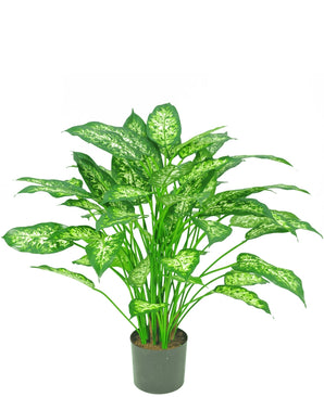 Kunstplant Dieffenbachia 75 cm