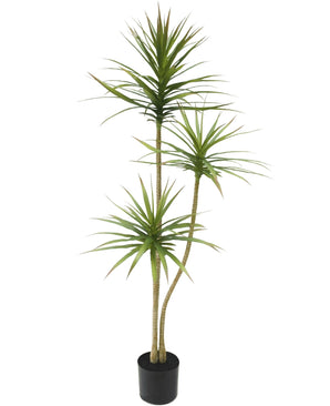 Kunstplant Dracaena Fragnans 150 cm