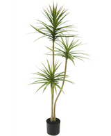 Kunstplant Dracaena Fragnans 150 cm