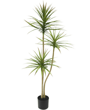 Kunstplant Dracaena Fragnans 150 cm