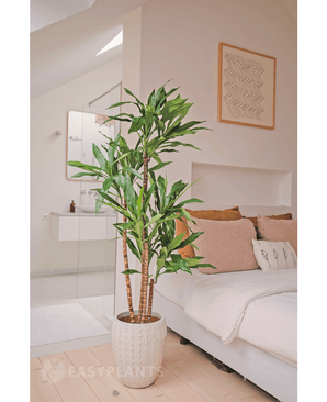 Kunstplant Dracena Fragnans 150 cm