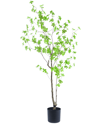 Kunstplant Enkianthus 150 cm