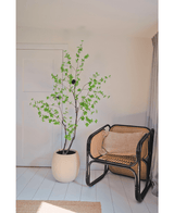 Kunstplant Enkianthus 180 cm