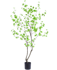 Kunstplant Enkianthus 180 cm