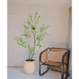 In een minimalistische kamerhoek staat de Kunstplant Enkianthus 210 cm, een bladgroene potplant naast een rotan stoel met zwart frame op een witte houten vloer, met neutrale muren en een lichtbeige gordijn.
