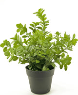 Kunstplant Eucalyptus 27 cm