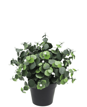 Kunstplant Eucalyptus wit in pot 22 cm UV