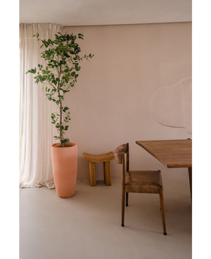 Kunstplant Ficus 210 cm