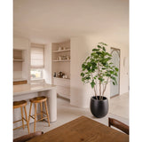Een moderne keuken met lichte muren, houten krukjes op het aanrecht, open planken met servies, een Kunstplant Ficus 210 cm die groen toevoegt en een houten eettafel met stoelen. De ruimte is licht met natuurlijk licht.