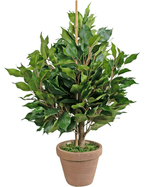 Kunstplant Ficus 60 cm in pot